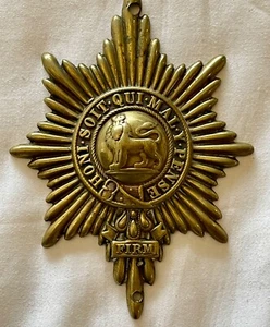 Worcester Regiment 29th / 36th Of Foot Valise Star Plate Ornament 1890 - Picture 1 of 4