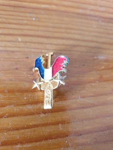 Brosche Französischer Kanuverband Kajak Hahn Emaille großes Feuer 2,5 cm - Bild 1 von 3
