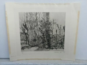 LUIGI BARTOLINI Gli alberi giovani riproduzione fotomeccanica timbrata firmata  - Picture 1 of 6