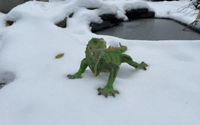 Leguan Deko Figur Eidechse Reptil Echse Teichfigur Garten Länge 60 cm Wand - Bild 1 von 4