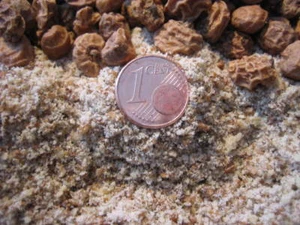 3,98 EUR / Kg TIGERNUSSMEHL 2,5Kg Tigernüsse gemahlen - Bild 1 von 1