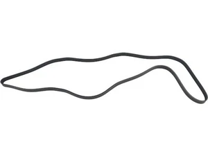 For 1992-1993 Audi 100 Quattro Multi Rib Belt API 99836FDGY - Picture 1 of 2