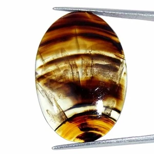 21.20Cts Natural Montana Agate Oval Cabochon Loose Gemstone 20x29x5mm - Picture 1 of 5