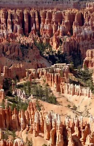 Impresión fotográfica del Parque Nacional Bryce Canyon - Imagen 1 de 1