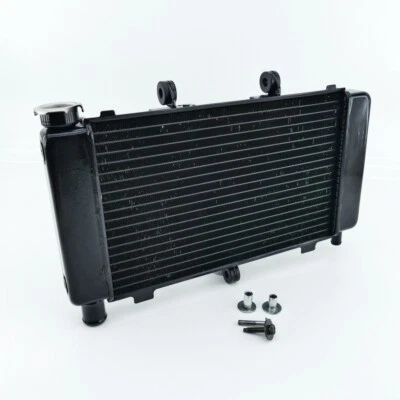 YAMAHA FZ6 FZ6-S RJ07 Fazer radiador radiador de agua solo 13960 km Foto 1 de 4