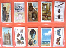 WD & HO WILLS - DO YOU KNOW - A SERIES - FULL SET (50) - 1922 - VG