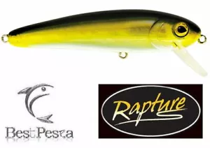 RAPTURE - SUPER DEXTER 11cm 32gr RCK - Sinking - Foto 1 di 1