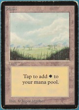 Plains (B Little Trees) Beta VERY HEAVILY PLD Basic Land CARD (248359) ABUGames