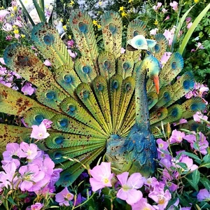 Rusic Metal Garden Peacock Statue - Picture 1 of 4