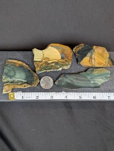 4 X Blue Mountain Orbicular Jasper Slab (Oregon) - Picture 1 of 12