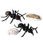  5 PCS Ant Toys and Bugs for Kids Halloween Decor Artificial