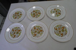 Corning Corelle Indian Summer 8-1/2" Mittagspeisen 6er Set - Bild 1 von 16