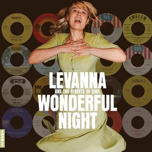 Various Artists Wonderful Night: Curated By Levanna (CD) Album - Bild 1 von 1