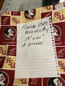 Remnants/ 2 Pieces/ Florida State University/ 19”x 21”/ Cotton Fabric - Picture 1 of 1