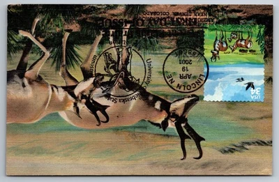 #3506a Great Plains Prairie Pronghorns & Geese FDC Maxi Card - Image 1 of 2