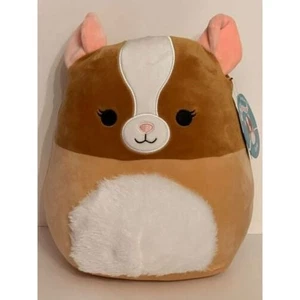 Squishmallows 12 Zoll Garret das Meerschweinchen - Bild 1 von 3