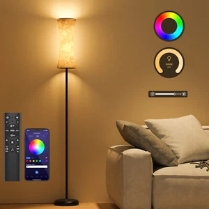 Stehlampe Wohnzimmer WiFi RGB Standleuchte LED Dimmbar 12W Modern Leselampe - Bild 1 von 9