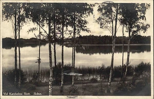 Schonen Skåne Schweden Sverige ~1920/30 gelaufen nach Brunsbüttelkoog Postkarte - Picture 1 of 2