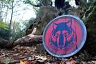 Medieval Shield Viking Shield 24" Raccon Wooden Shield Heavy Metal Fitted