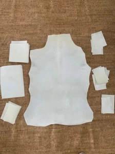 2 Full hide Parchment leather and six sheets of 8.5”x11” vellum leather - Picture 1 of 8