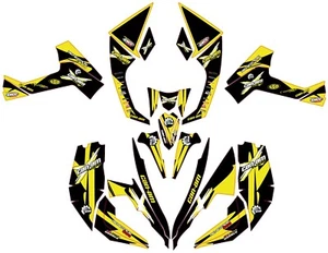 Graphics kit for Can Am Renegade 500 800r 800x 1000 decals ALL YEARS STICKERS - Picture 1 of 1