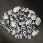 Dendrite Opal Cabochon Mix Shape & Size Designer Dendritic Opal Gemstone MV28 AU