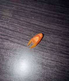 LEGO Ninjago TIME BLADE ORANGE 70626 70627