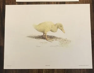 Duckling Yellow Duck Art Print Signed & Numbered by Larry Harris Frank’s Duck - Picture 1 of 5