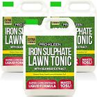 ProKleen Iron Sulphate Liquid Ferrous Miracle Grass Turf Lawn Tonic Feed 3 x 5L