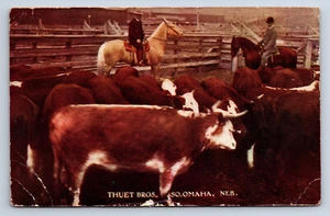 Vintage Postcard Omaha NE Thuet Bros Cattle Livestock Advertising U3 - Picture 1 of 2