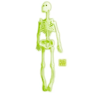Halloween Deko Skelett Horror Grusel Skelette Party Dekoskelett Horrorskelett - Bild 1 von 1