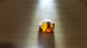 Bernstein ECHT 2,15 Karat Natur-Rohstein Amber 0,43g 12x8x6 evtl Einschlüsse - Bild 1 von 5