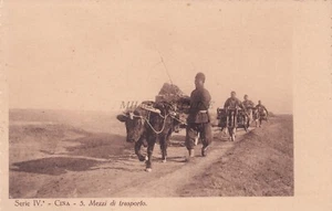 CHINA - Mezzi di trasporto (Means of transport) 1920 Missions Postcard N.5 - Picture 1 of 2