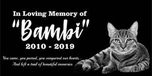 Marcador de tumba conmemorativo de piedra personalizada para mascotas placa de granito lápida humana gato - Imagen 1 de 24