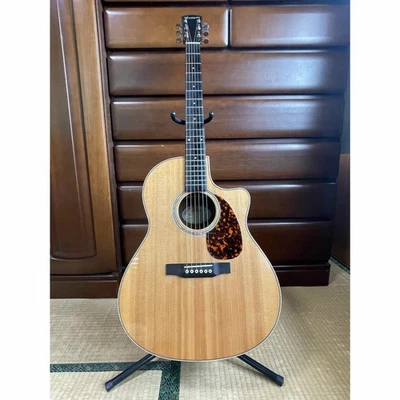 Larrivee Lv-09 No.LG2151 Foto 1 de 4