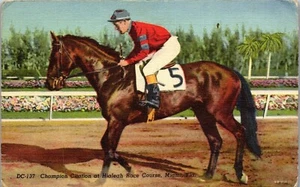 Cartolina d'epoca Campione Corsa Cavallo Citazione & Jockey Hialeah Race Track Miami FL - Foto 1 di 3