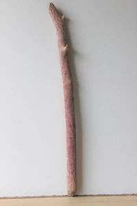 Treibholz Schwemmholz Driftwood 1 XL Ast Garderobe Dekoration - Bild 1 von 12