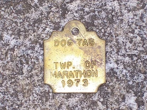 De colección 1973 Township of Marathon etiqueta fiscal perro licencia Canadá latón cc29 - Imagen 1 de 2