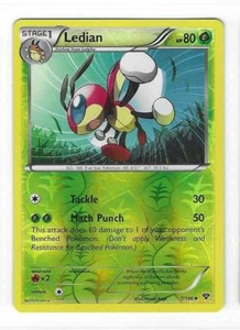Pokemon --- LEDIAN --- XY Base Set! REVERSE HOLO! NM/Mint! 7/146 - Picture 1 of 3