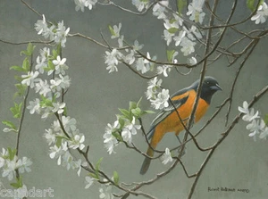 Robert BATEMAN Baltimore Oriole & Plum Blossoms LTD art Giclee Canvas Rare S/N - Picture 1 of 8