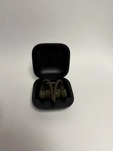 Auriculares inalámbricos Beats by Dr. Dre Powerbeats Pro Ear-Hook - Musgo - Imagen 1 de 5