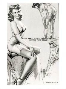 PHOTO PIN-UP SEXY SUSPENDER TIGHTS SILVER PRINT HD 24x17.5CM - Picture 1 of 2