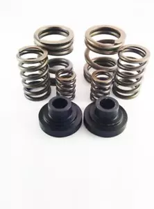 DDP For Dodge 94-98 P-Pump 3000 & 4000 RPM Governor Spring Kit - Picture 1 of 2