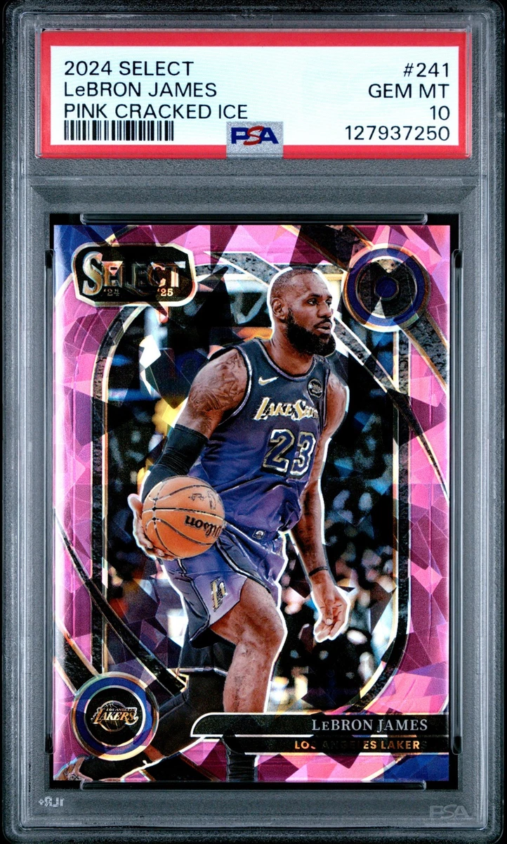 Panini LeBron James 10 Graded Basketball Sports Trading Cards