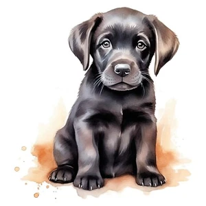 Autoaufkleber Sticker Labrador Aufkleber - Picture 1 of 1