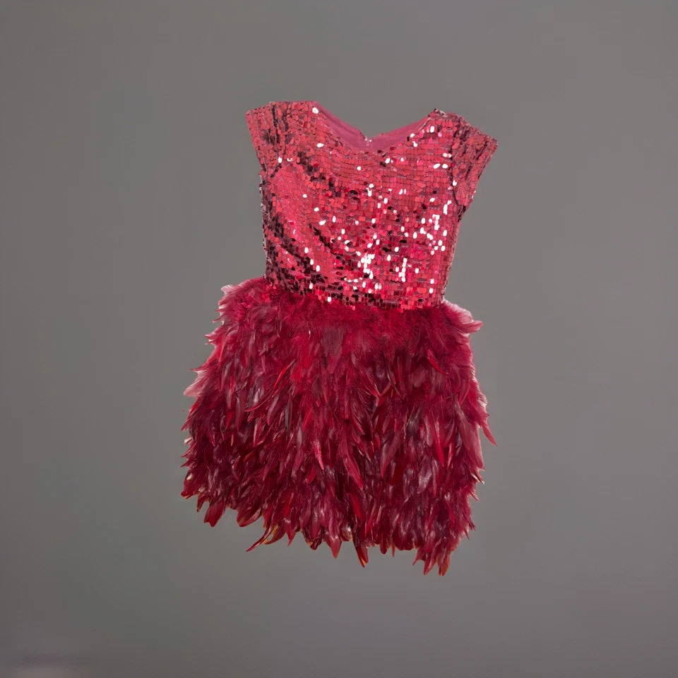 Vestido de Pluma CHASING FIREFLIES Boutique Borgoña Rojo Lentejuelas Niñas Talla 7 Usado en Excelente Condición Foto 1 de 4