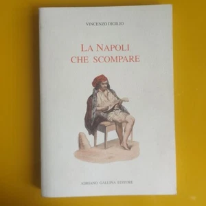 VINCENZO DIGILIO LA NAPOLI CHE SCOMPARE ADRIANO GALLINA EDITORE 1995 - Picture 1 of 6