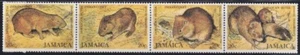 F-EX20180 JAMAICA MNH 1981 HUTIA INDIA CONEY JUTIA - Picture 1 of 1