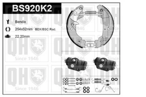 QH Bendix Brake Shoe Kit w/ Auto Adjust /Mounting /Wheel Brake Cylinder -BS920K2 - Picture 1 of 8