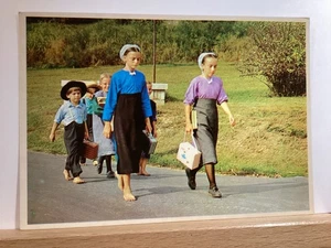 Amish School Children Walking Home from School: - Vintage Postcard - Picture 1 of 3
